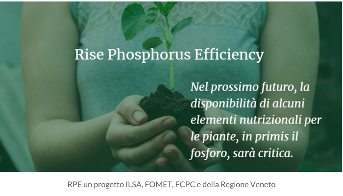RPE un progetto per aumentare l'efficienza del fosforo nei fertilizzanti 